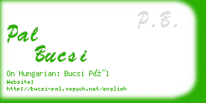 pal bucsi business card